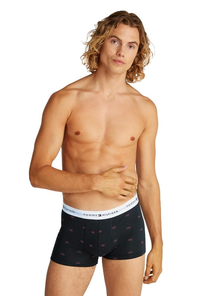 Tommy Hilfiger 3P TRUNK PRINT Alt Giyim Erkek