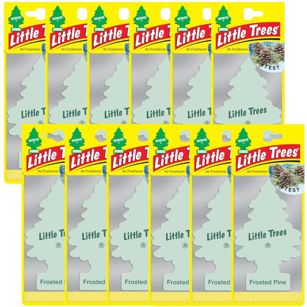 Car Freshner Asma Koku Buzlu Çam 12'li